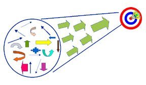 The Starfish Story 1 Your Energy Pool