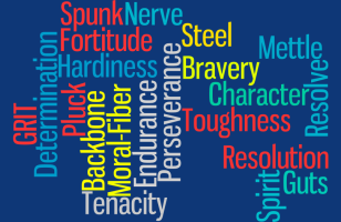 grit3 Grit Word Cloud