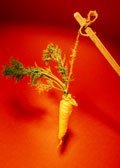 Leadership Breakthroughs Archives - List Format 205 Carrot