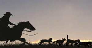 Leadership Breakthroughs Archives - List Format 224 Herding Cats - Creative Commons
