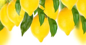Leadership Breakthroughs Archives - List Format 49 Lemons-cc