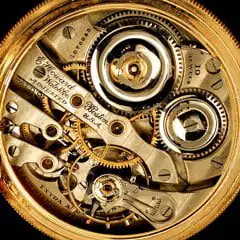 Minute Detail