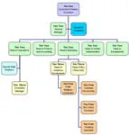 Org Chart