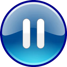 Pause Button
