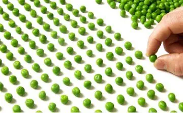 How Detail Orientated Are You? 3 Perfectionist