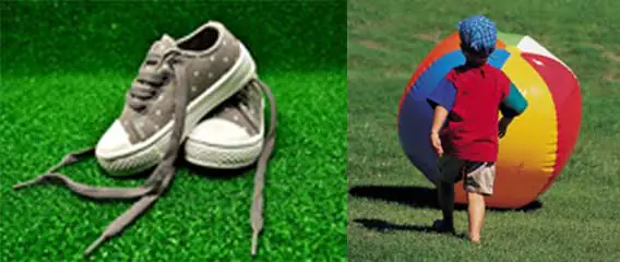 shoelace proficiency2