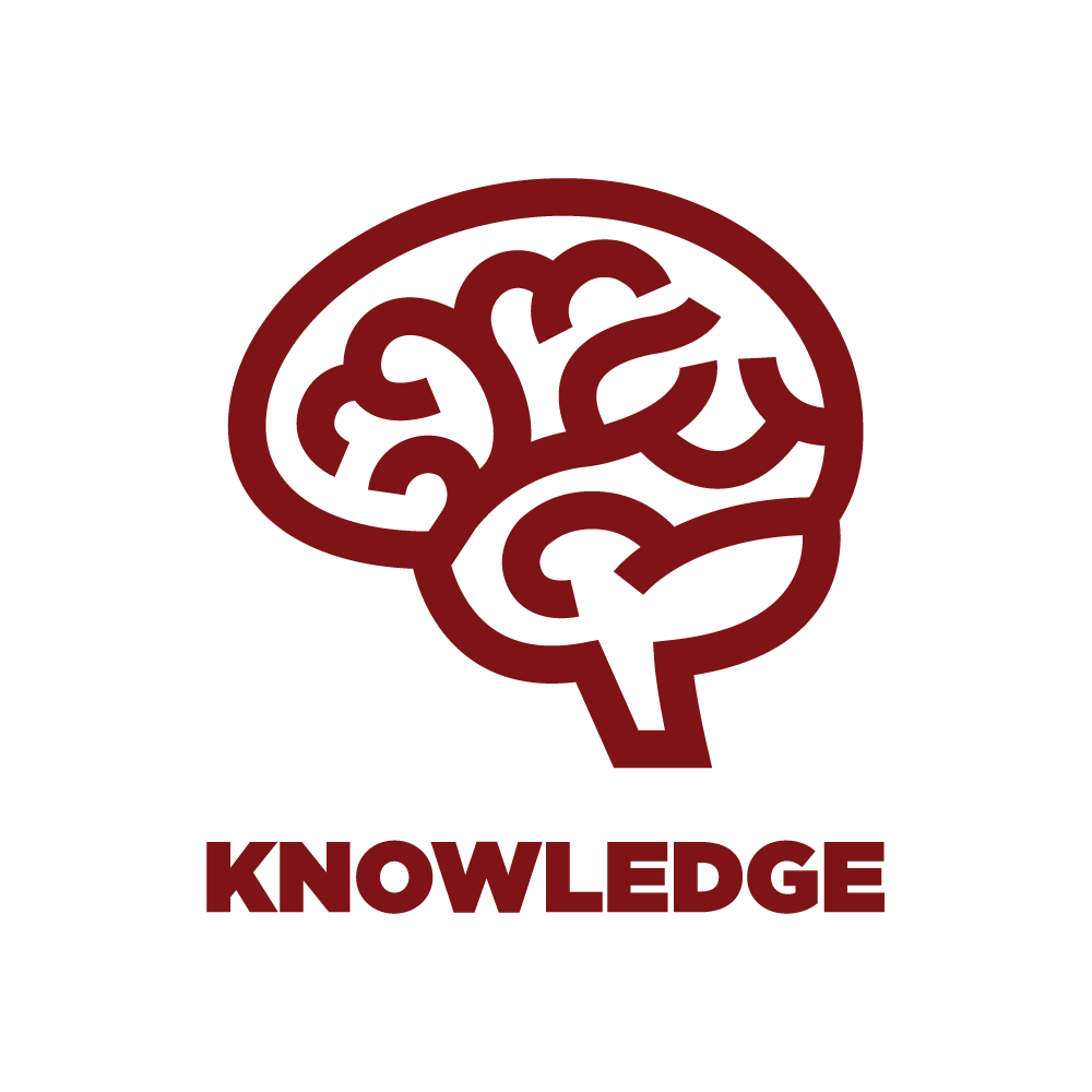 Knowledge Drive Icon