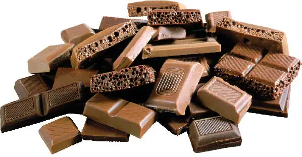 Pizza or Broccoli: A Slam-Dunk or Curious Conundrum? 2 Chocolate