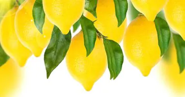 Lemons-cc