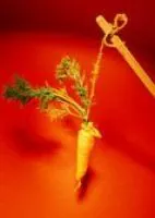 Carrot